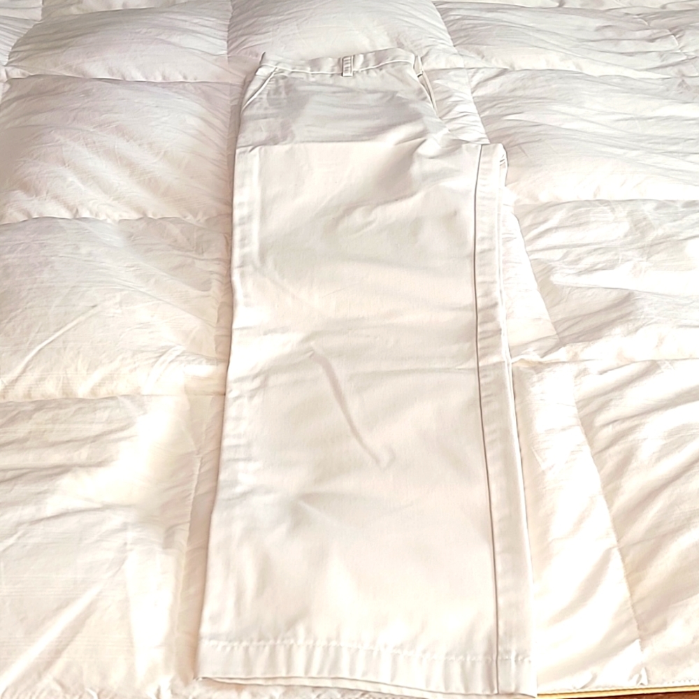 Izod mens pants